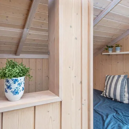6 Person Holiday In Hemmet Vakantiehuis *